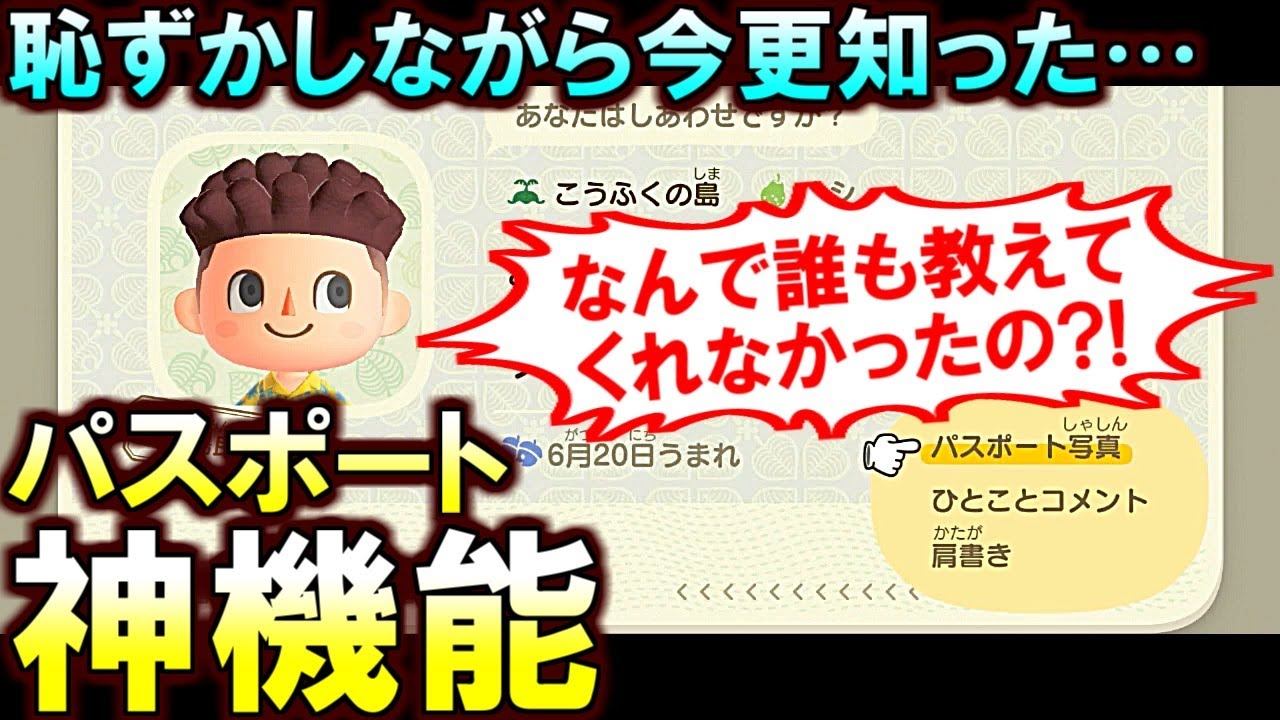 すごい 釣りをしてたらジンベエザメが目の前に ホンモノ やばすぎやろそれ 海ってすげぇーなぁ と驚きと感動の声 マイナビニュースほかどうぶつの森攻略法まとめ 掘り下げマン