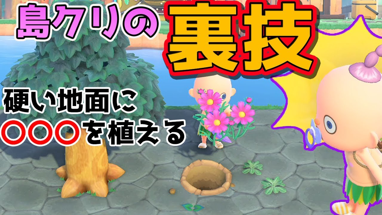 あつ森 に佐渡島が登場 世界農業遺産を発信 日本経済新聞ほかどうぶつの森攻略法まとめ 掘り下げマン