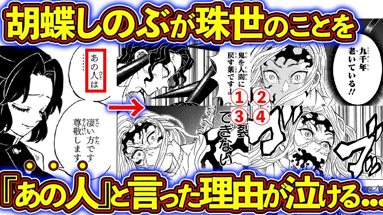 鬼を憎む胡蝶しのぶが珠世のことを 人 と認めた理由が泣ける 珠世を徹底解説 鬼滅の刃 きめつのやいば 考察 ほか鬼滅の刃まとめ 掘り下げマン